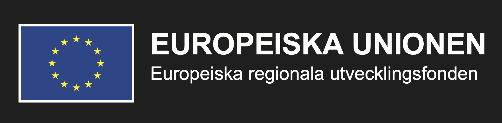 Europeiska unionen Europeiska regionala utvecklingsfonden